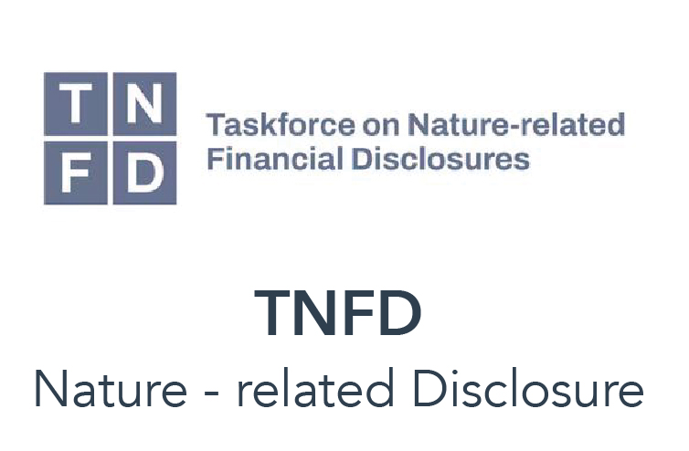 TNFD