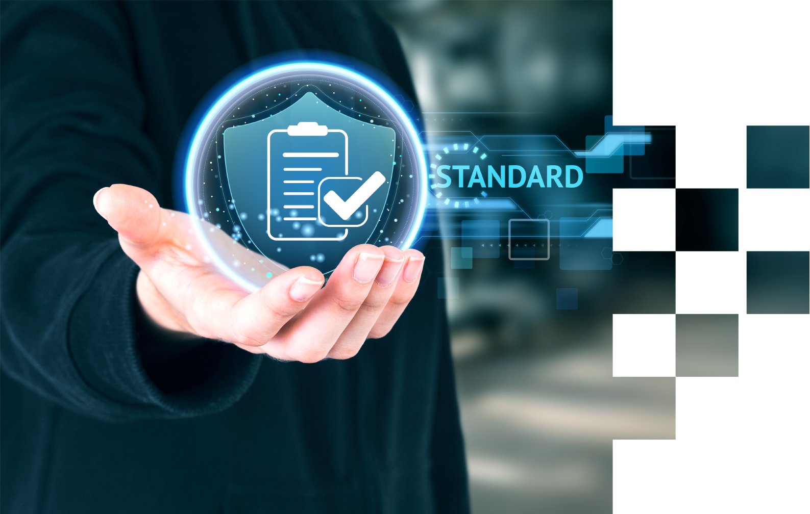 System Assurance & Integrity
